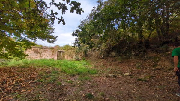 Visita Pazo Conde de Oleiros